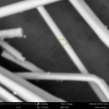 sem-image1